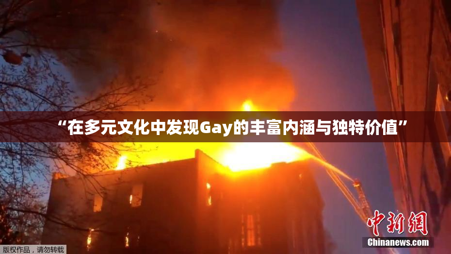 “在多元文化中发现Gay的丰富内涵与独特价值”