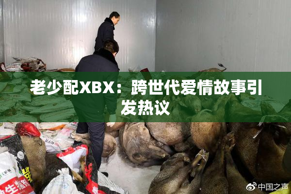 老少配XBX：跨世代爱情故事引发热议