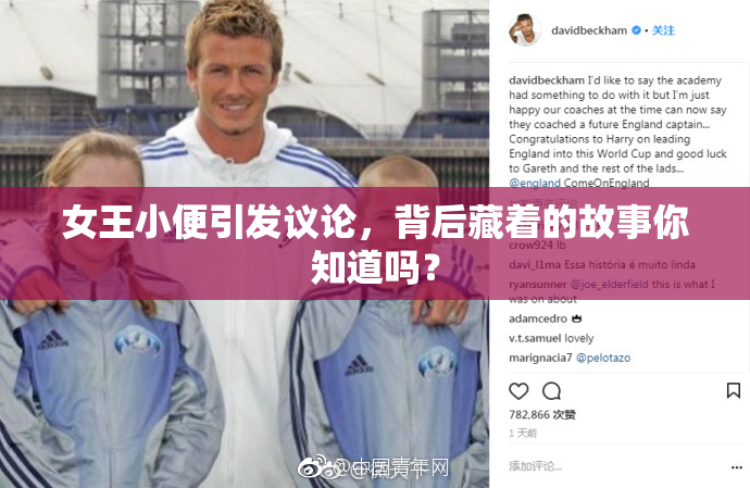 女王小便引发议论，背后藏着的故事你知道吗？