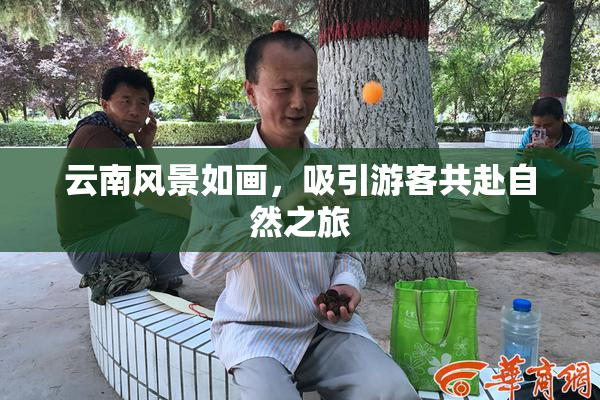云南风景如画，吸引游客共赴自然之旅