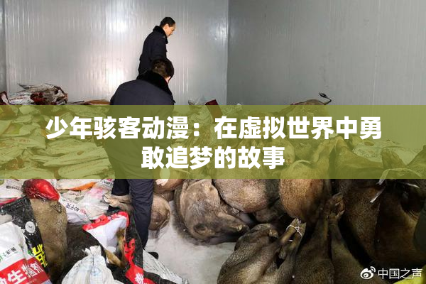 少年骇客动漫：在虚拟世界中勇敢追梦的故事