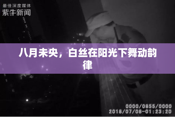 八月未央，白丝在阳光下舞动韵律