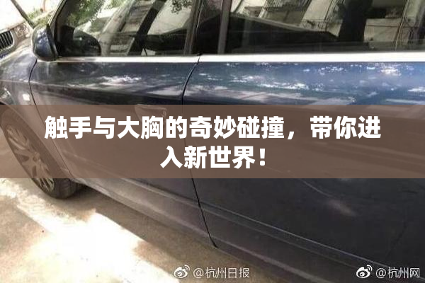 触手与大胸的奇妙碰撞，带你进入新世界！