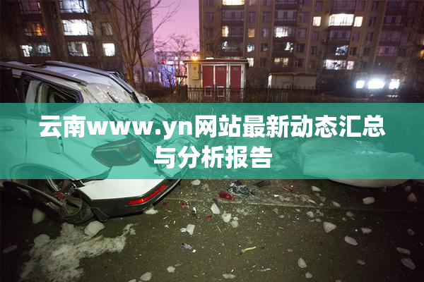 云南www.yn网站最新动态汇总与分析报告
