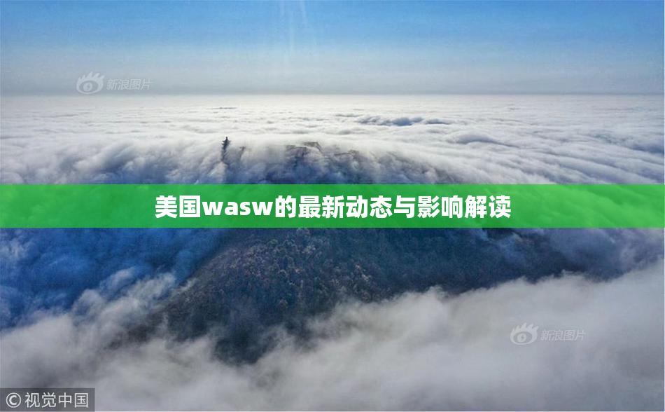 美国wasw的最新动态与影响解读