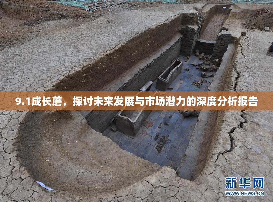 9.1成长蘑，探讨未来发展与市场潜力的深度分析报告