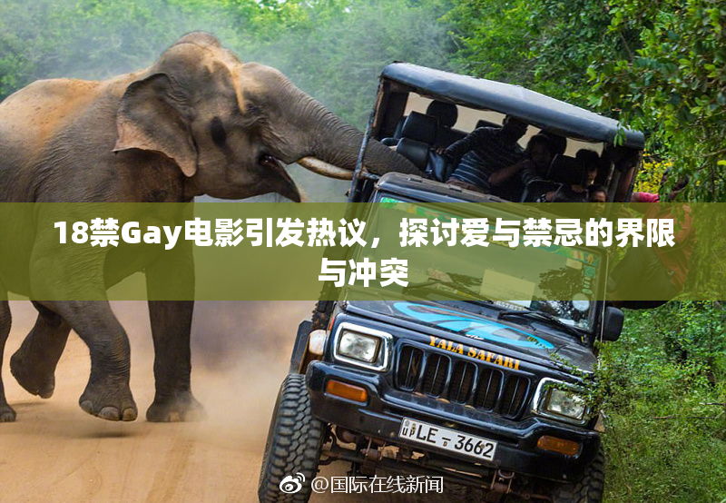 18禁Gay电影引发热议，探讨爱与禁忌的界限与冲突