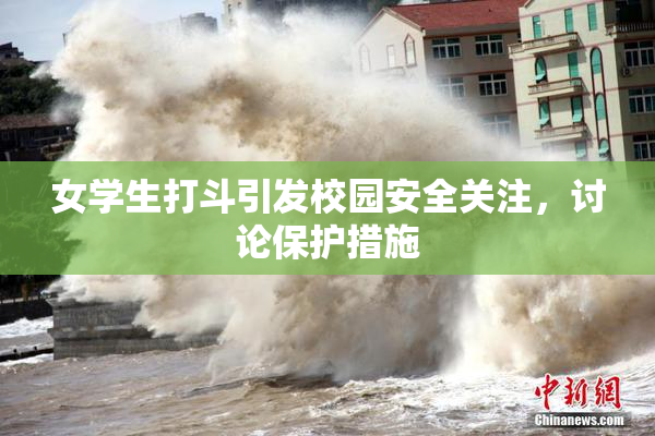 女学生打斗引发校园安全关注，讨论保护措施