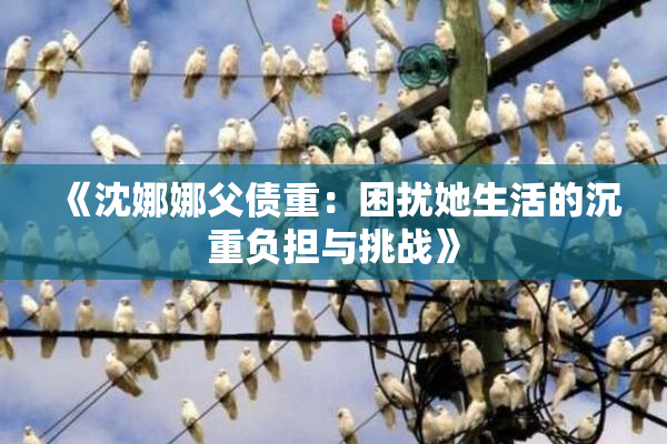 《沈娜娜父债重：困扰她生活的沉重负担与挑战》