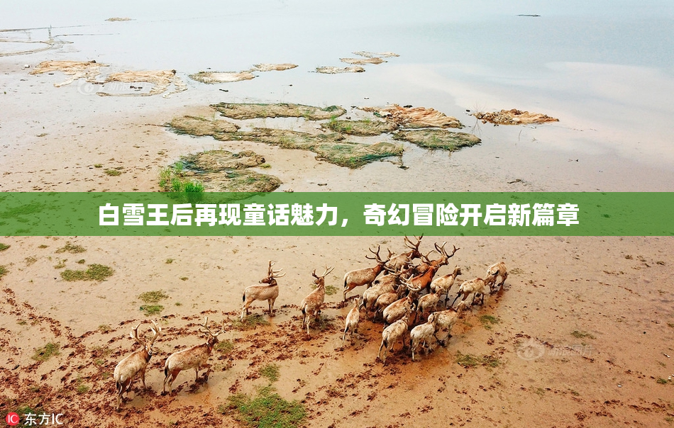 白雪王后再现童话魅力，奇幻冒险开启新篇章