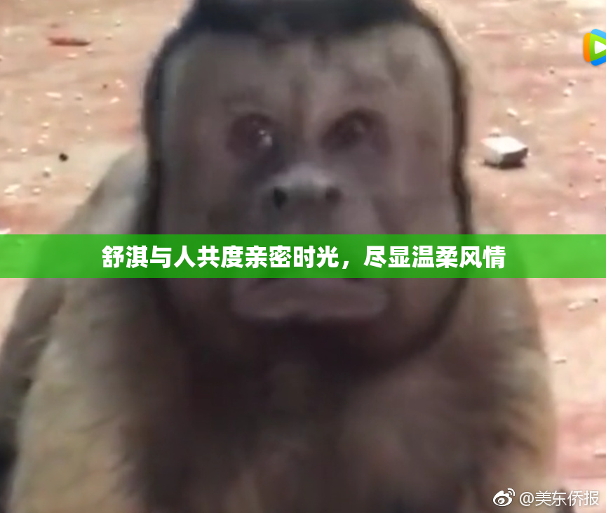 舒淇与人共度亲密时光，尽显温柔风情