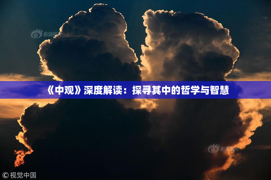 《中观》深度解读：探寻其中的哲学与智慧