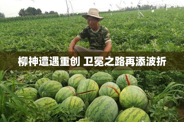 柳神遭遇重创 卫冕之路再添波折