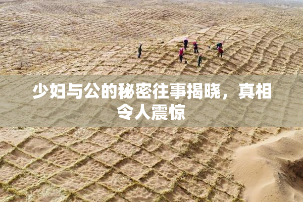 少妇与公的秘密往事揭晓，真相令人震惊
