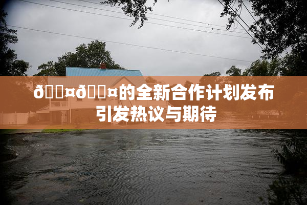 🐤🐤的全新合作计划发布 引发热议与期待