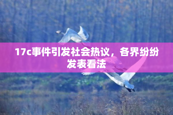 17c事件引发社会热议，各界纷纷发表看法
