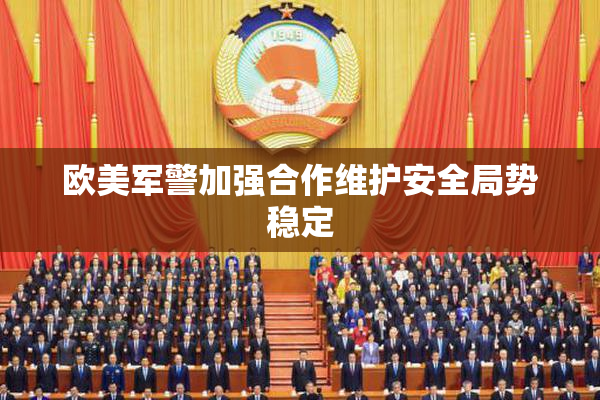欧美军警加强合作维护安全局势稳定