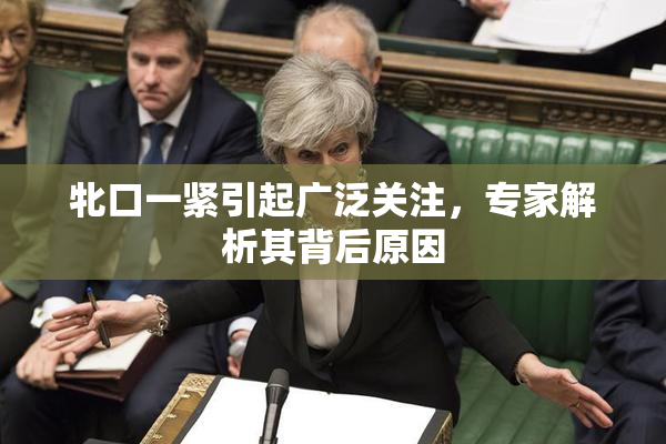 牝口一紧引起广泛关注，专家解析其背后原因