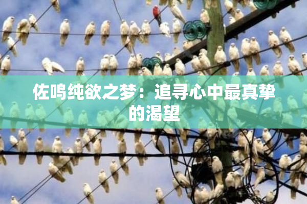 佐鸣纯欲之梦：追寻心中最真挚的渴望