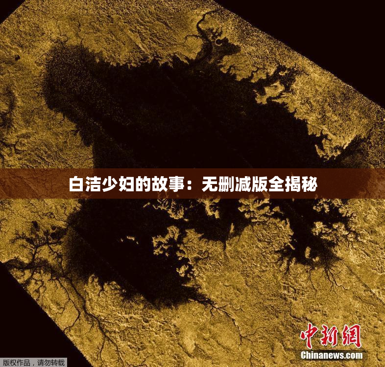 白洁少妇的故事：无删减版全揭秘