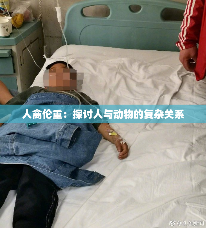 人禽伦重：探讨人与动物的复杂关系