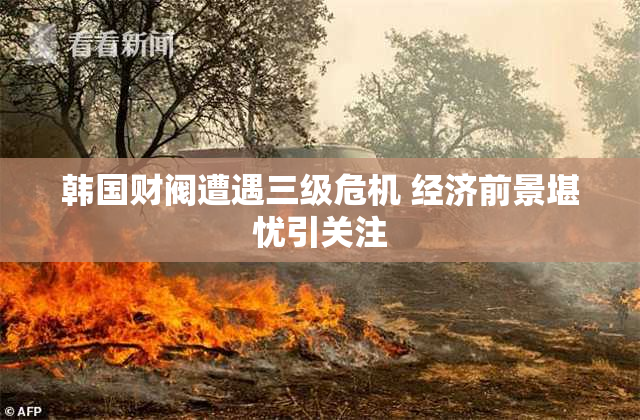 韩国财阀遭遇三级危机 经济前景堪忧引关注