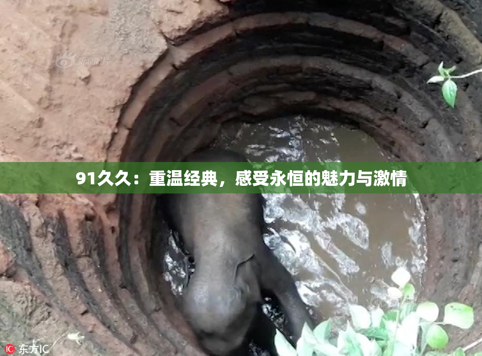 91久久：重温经典，感受永恒的魅力与激情