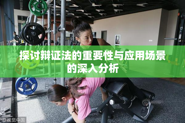 探讨辩证法的重要性与应用场景的深入分析