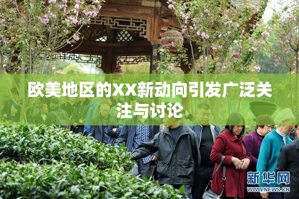 欧美地区的XX新动向引发广泛关注与讨论