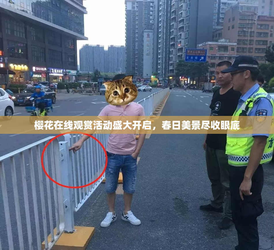 樱花在线观赏活动盛大开启，春日美景尽收眼底