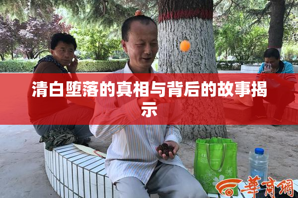清白堕落的真相与背后的故事揭示