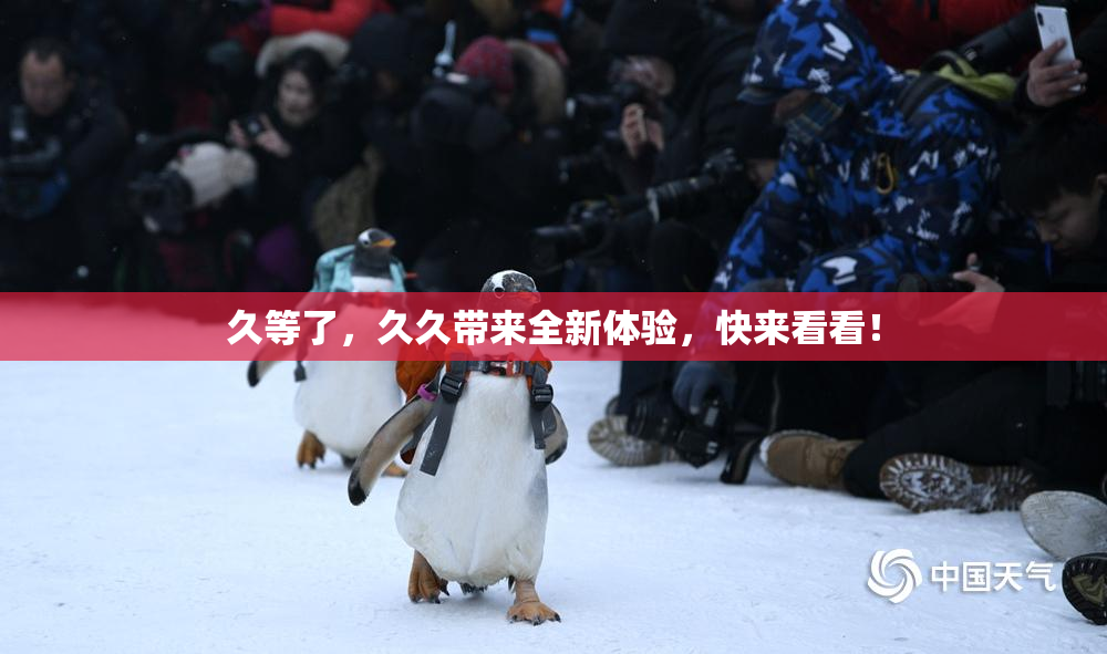 久等了，久久带来全新体验，快来看看！