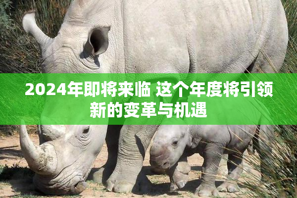 2024年即将来临 这个年度将引领新的变革与机遇