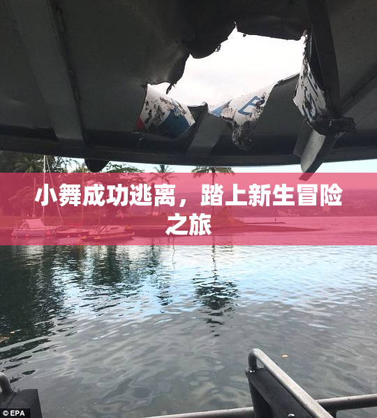 小舞成功逃离，踏上新生冒险之旅