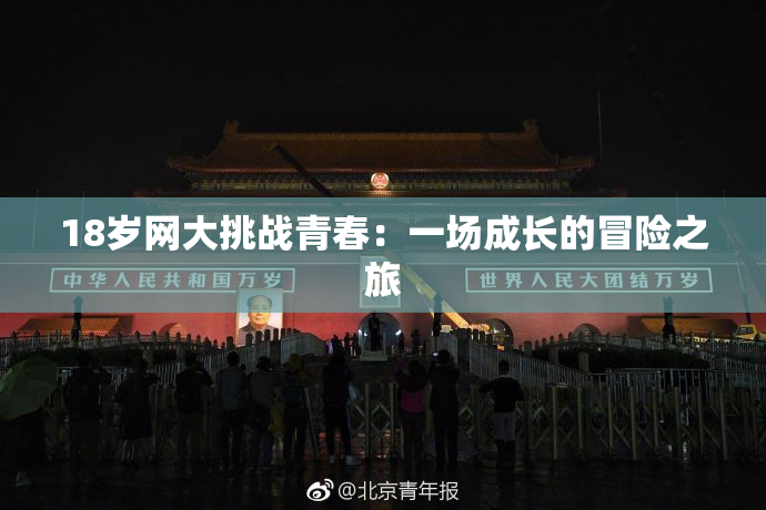 18岁网大挑战青春：一场成长的冒险之旅