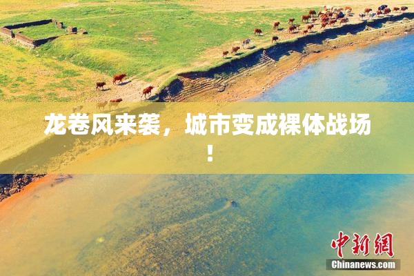 龙卷风来袭，城市变成裸体战场！