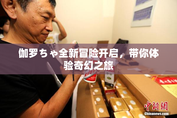 伽罗ちゃ全新冒险开启，带你体验奇幻之旅