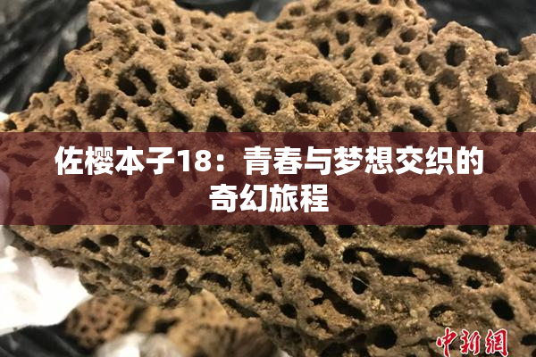 佐樱本子18：青春与梦想交织的奇幻旅程