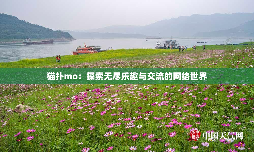 猫扑mo：探索无尽乐趣与交流的网络世界