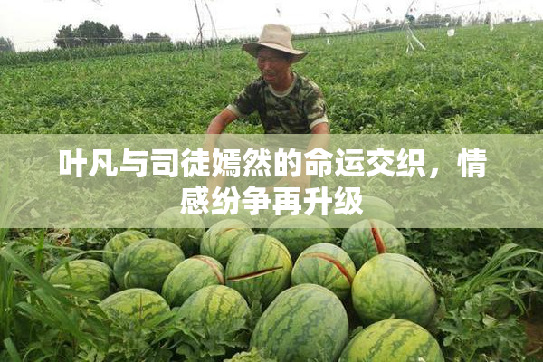 叶凡与司徒嫣然的命运交织，情感纷争再升级