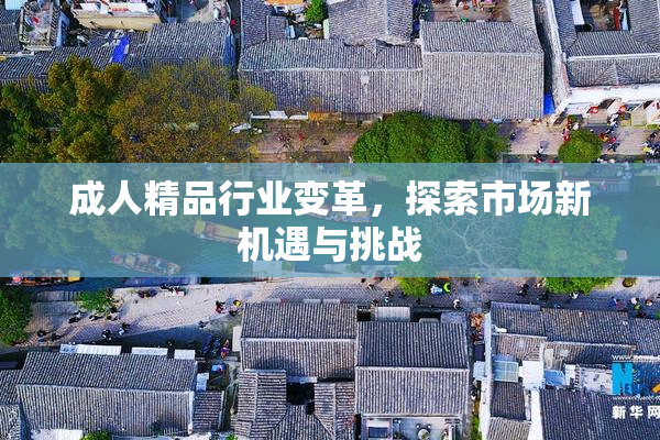 成人精品行业变革，探索市场新机遇与挑战