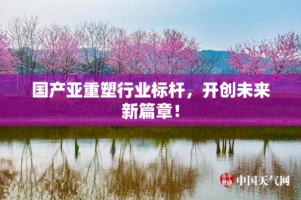 国产亚重塑行业标杆，开创未来新篇章！