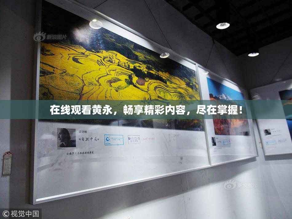 在线观看黄永，畅享精彩内容，尽在掌握！