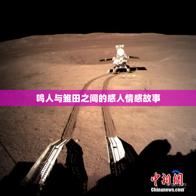 鸣人与雏田之间的感人情感故事