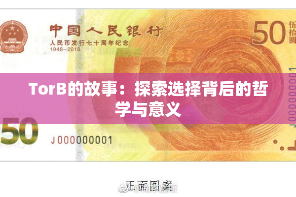TorB的故事：探索选择背后的哲学与意义