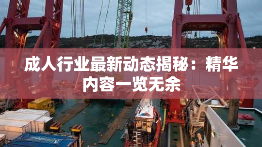 成人行业最新动态揭秘：精华内容一览无余