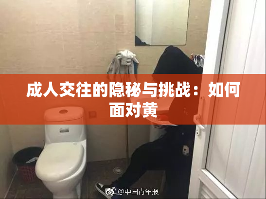 成人交往的隐秘与挑战：如何面对黄