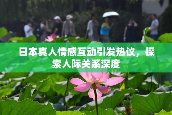 日本真人情感互动引发热议，探索人际关系深度