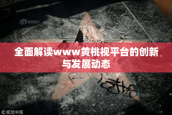 全面解读www黄桃视平台的创新与发展动态