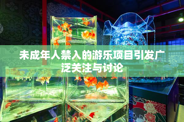 未成年人禁入的游乐项目引发广泛关注与讨论